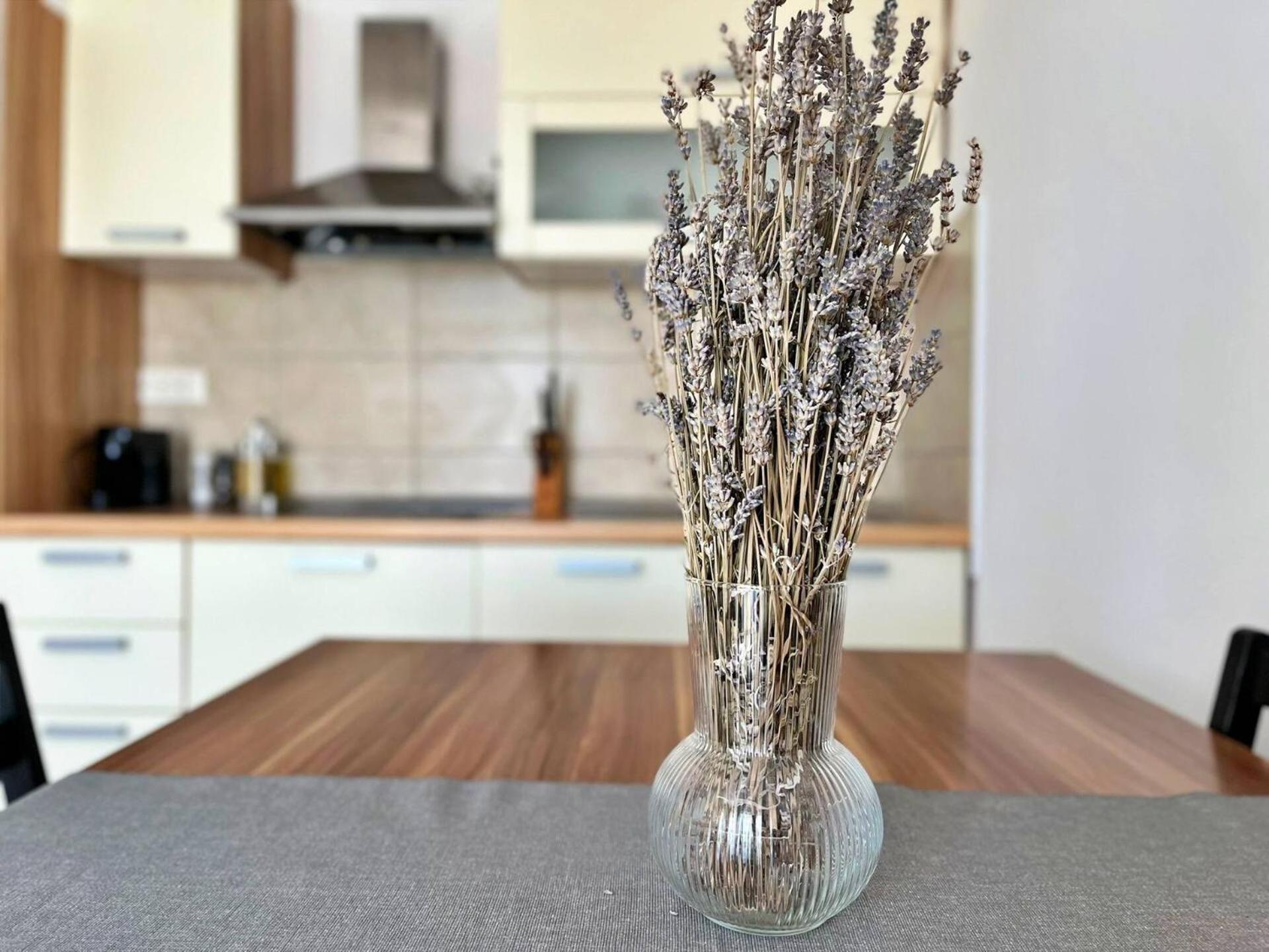 Apartments Pinta De Sol Čižići Εξωτερικό φωτογραφία